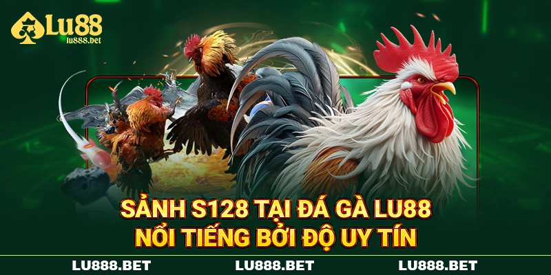 Sảnh S128 tại đá gà LU88 nổi tiếng bởi độ uy tín Sảnh S128 tại đá gà LU88 nổi tiếng bởi độ uy tín